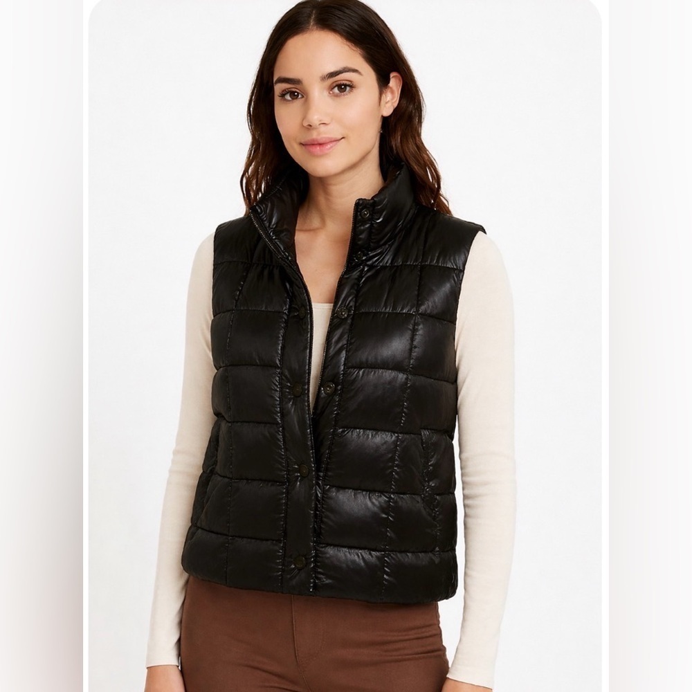Elodie Black Quilted Puffer Vest